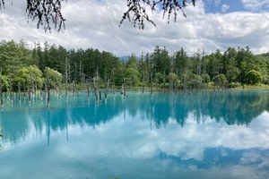 Blue Pond (Aoiike) (Biei)