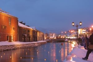 Otaru Snow Light Path Festival (February)