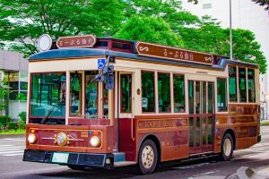 Loople Sendai One-Day Pass