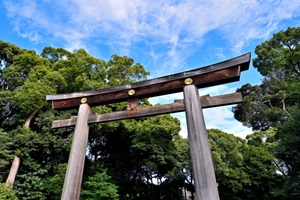 Meiji Jingu (Shibuya)