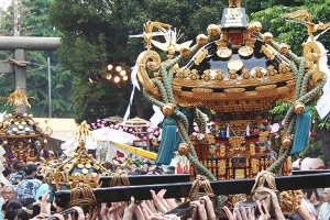 Sanja Matsuri (May)