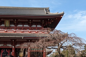 Sensō-ji Temple (Asakusa, Taito)