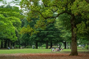 Yoyogi Park (Shibuya)