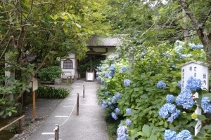 Meigetsu-in (Kamakura)