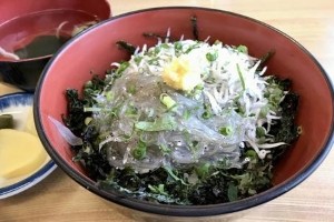 Kamakura Shirasu-don (rice bowl with baby sardines)