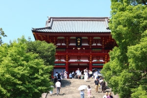 Tsurugaoka Hachimangu Shrine (Kamakura)