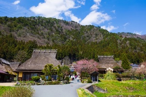 Miyama