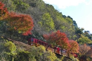 Sagano Romantic Train (Arashiyama)