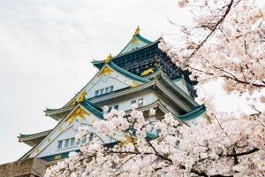 Osaka Castle Park Sakura Matsuri