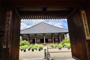 Gangō-ji Temple (Nara)